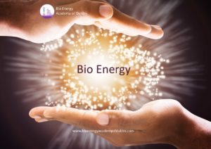 Bio Energy-Diploma-Training-Workshops-Courses-Therapy-Healing